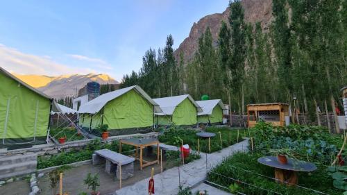 TurtokBORDER CAFE AND CAMPS TURTUK BY TRAVELCULTS的花园中一群绿色帐篷
