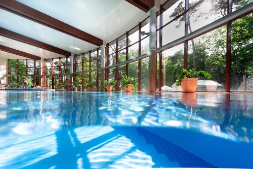亚斯塔尔尼亚Hotel Dom Zdrojowy Resort & SPA的一座带窗户的建筑中的游泳池