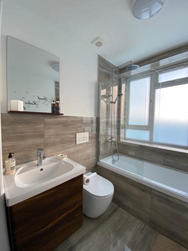 布莱奇利Rooftops Apartment的一间带水槽、卫生间和淋浴的浴室