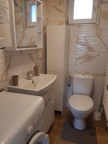 Železný BrodUbytovani u Nadii的一间带卫生间和水槽的小浴室