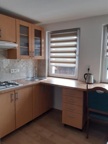 Železný BrodUbytovani u Nadii的厨房设有木台和窗户。
