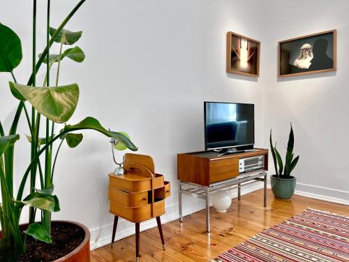 里斯本New Art Apartment的客厅配有带植物的桌子上的电视