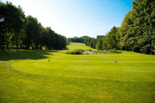 施普洛霍弗Das Vesper的一座拥有绿色田野和树木的高尔夫球场