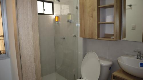 里奥阿查D'Rio Aparta estudios的带淋浴、卫生间和盥洗盆的浴室