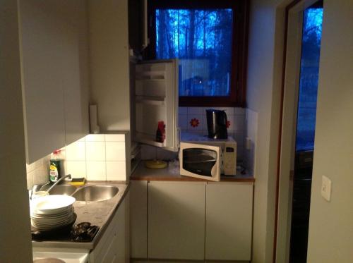 瓦尔考斯Hostel Varkaus的一间带水槽和微波炉的小厨房