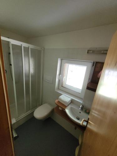 EggenGassermühle-Zimmer für Selbstversorger的一间带卫生间、水槽和窗户的浴室