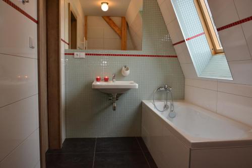 布拉格维拉克罗辛卡公寓的浴室配有盥洗盆和浴缸。