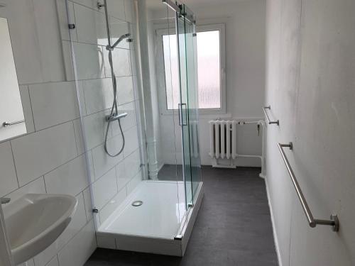 ZielitzWohnung 85 qm Kalimandscharo 1 in Zielitz - Magdeburg的一间带玻璃淋浴和水槽的浴室
