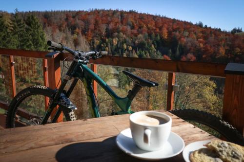 圣安德里斯伯格Harz BnB Werkmeister的坐在桌子上,一边喝咖啡一边骑自行车