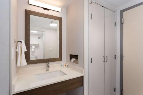 布法罗Comfort Inn & Suites Buffalo Airport的一间带水槽和镜子的浴室