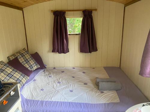 BaddileyThe Shepherd's Hut - Wild Escapes Wrenbury off grid glamping - ages 12 and over的一个小房间的一个床位,设有窗户