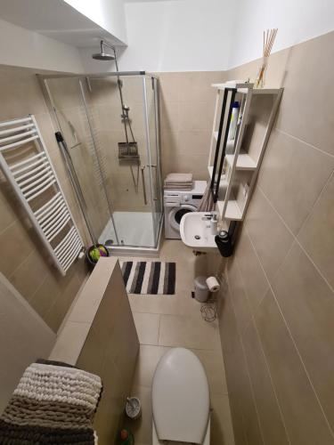 希欧福克EDA Beach Galerius Apartman的带淋浴和卫生间的小浴室