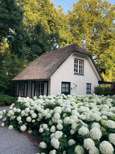 SchildeSchilde Cottage的白色的小房子,花团锦簇