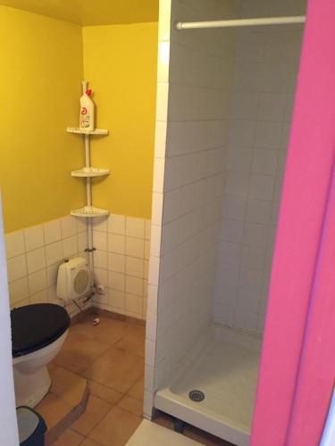 圣昂德雷德屈布扎克Centre ville, rue tranquille proche SNCF et commerces的浴室配有淋浴和卫生间。