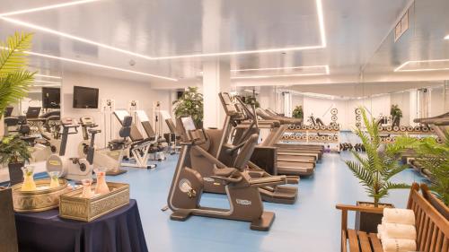 科法德比安黎巴嫩洲际法莱雅山中水疗度假村的健身房设有跑步机、健身自行车和植物