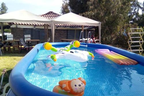 阿雷基帕Casa de Campo Arequipa - Disfruta de la naturaleza的游泳池里的水滑梯,上面有泰迪熊