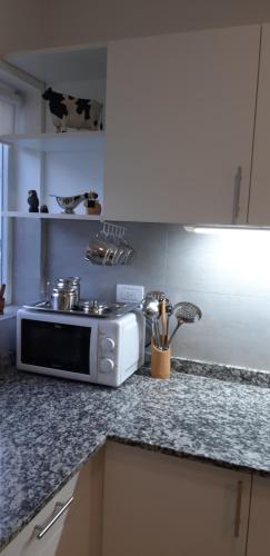 内乌肯DEPARTAMENTO AMOBLADO NEUQUEN 2的台面上带微波炉的厨房台面