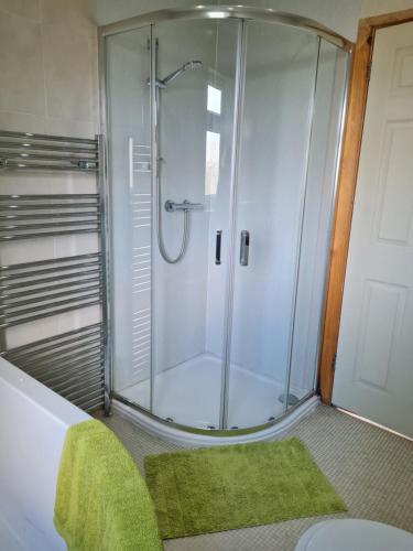 TonduRichlands Homestay的带淋浴的浴室(铺有绿色地毯)