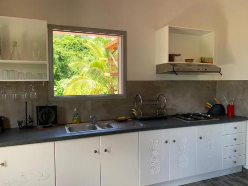 波尔兰特APPARTEMENT MILO 1的厨房设有水槽和窗户。