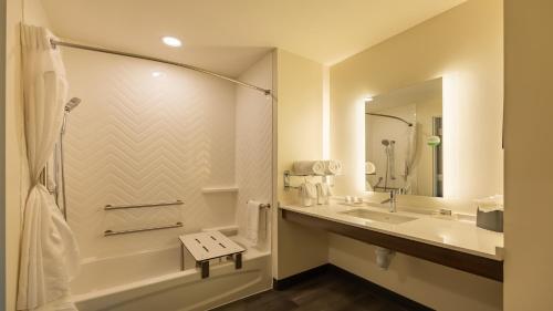 亚特兰大Hotel Spice & Sky Atlanta Perimeter的带浴缸、水槽和镜子的浴室