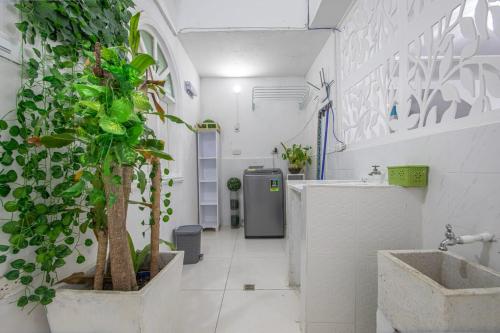 卡塔赫纳Apartamento en Casa Dandy的浴室设有卫生间,里面有一棵树