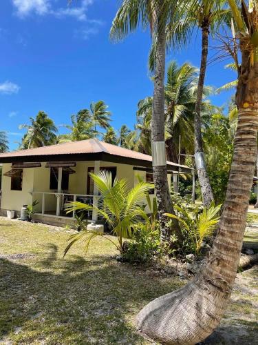 阿瓦托鲁Rangiroa Guest Paradise的前面有棕榈树的房子