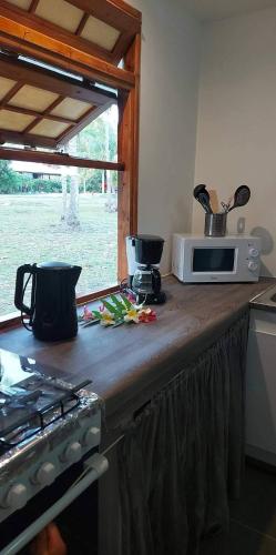 阿瓦托鲁Rangiroa Guest Paradise的厨房台面上配有微波炉