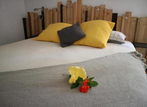 PaïtaCHAMBRES LEZARD Home的一张黄色和红色的床上