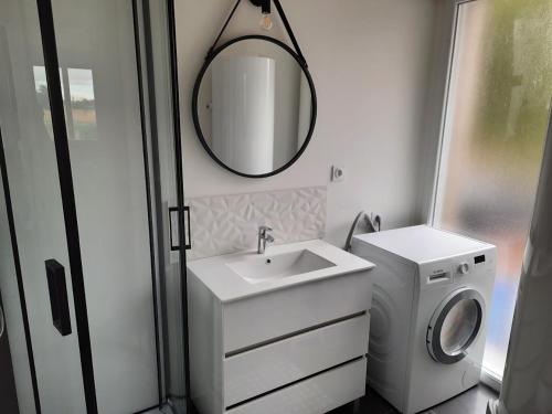BrouckerqueLA CLEF DES CHAMPS GITE PERRINE的一间带水槽和洗衣机的浴室