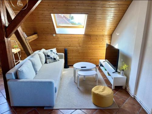 米卢斯L’Alsacien Cosy : Duplex - Netflix - Wifi/Fibre的带沙发和电视的客厅