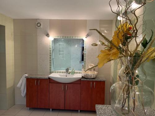 Suchy BórWakacyjny dom w Suchym Borze的浴室设有水槽和花瓶