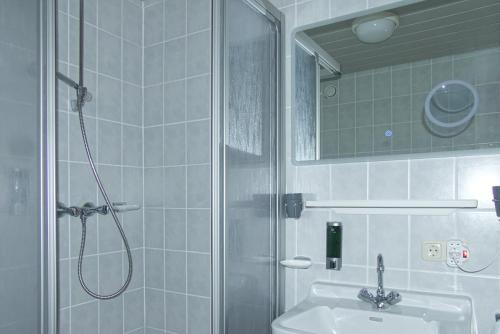洛贝格GarniHotel zur Linde的带淋浴和盥洗盆的浴室