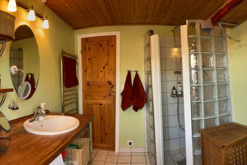 TjørneholmSpacey and charming cabin 300 m. from beach的一间带水槽和淋浴的浴室