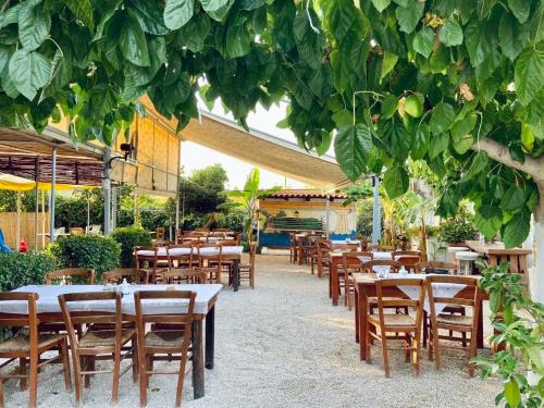纳夫普利翁XeniCamp-Retreat的树下设有桌椅的餐厅