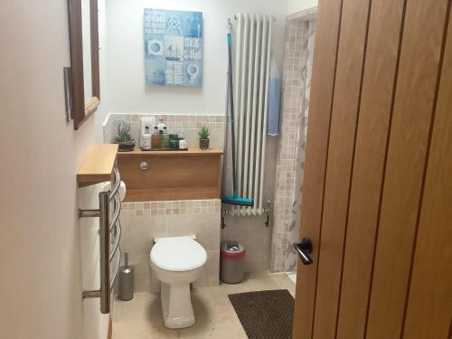 牛津Sunnyside Annexe的一间带卫生间和淋浴帘的浴室