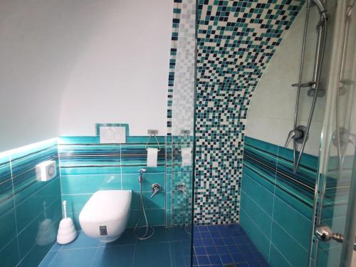伊斯基亚BeachHouse Ischia的带淋浴、卫生间和盥洗盆的浴室