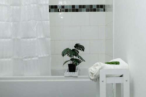 莱斯特Silver Apartment 2 Bed Flat Leicester City Centre的带浴缸植物的浴室