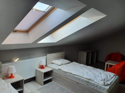 MrozyStajnia Kruki的一间卧室设有一张大床和天窗