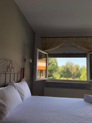 安吉斯特隆Guesthouse Anestis的一间卧室设有一张床和一个大窗户