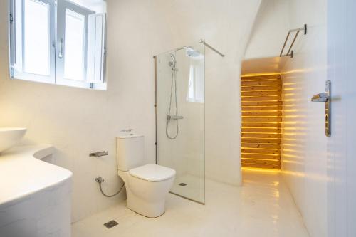 Éxo GoniáKarpimo Suites的白色的浴室设有卫生间和淋浴。