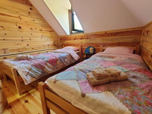 ZaovineMilijin konak的小木屋内一间卧室,配有两张床