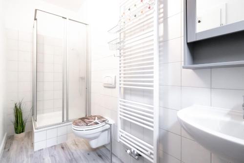博尔滕哈根Ferienwohnungen Reiterhof Boltenhagen的白色的浴室设有卫生间和水槽。