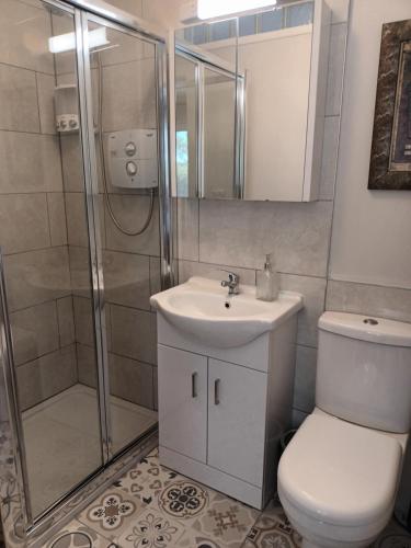 Murlas BridgeKate's Place bedroom ensuite close to Donegal town的浴室配有卫生间、盥洗盆和淋浴。