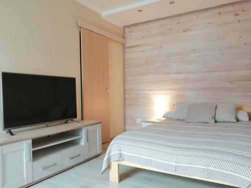利耶帕亚Apartamenti Miera Osta的一间卧室配有一张床和一台平面电视