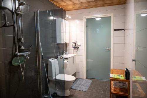 罗瓦涅米Villa Puistola & sauna, near Santa's Village的浴室配有卫生间、淋浴和盥洗盆。
