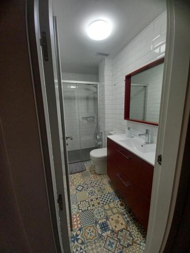 卡里翁德洛斯孔德斯Loft Carrión的一间带卫生间、水槽和镜子的浴室