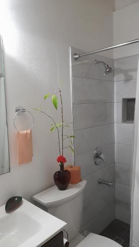 金斯敦奈塔鸟巢住宿加早餐旅馆的浴室设有卫生间,上面有植物
