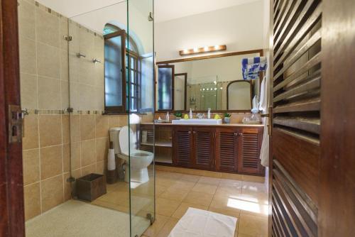 迪亚尼海滩Asha Boutique Hotel的带淋浴、卫生间和盥洗盆的浴室