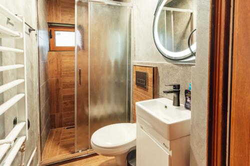 韦林格勒Guest house Anna-Maria的一间带卫生间、水槽和镜子的浴室