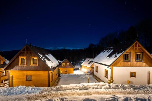 斯克拉斯卡波伦巴Chałupy Pod Lipami的一群晚上下雪的房子